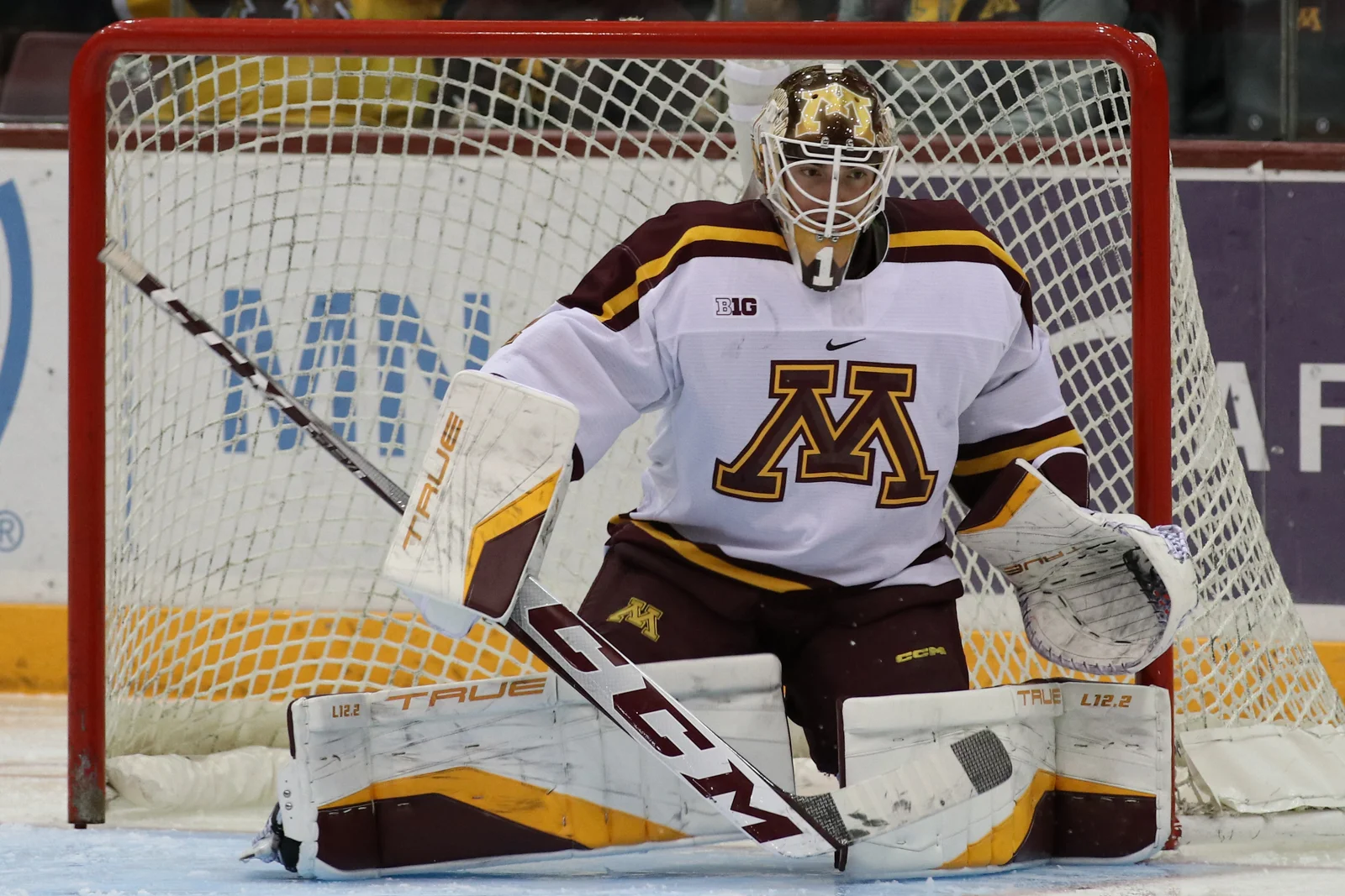 Gophers Roll Over Irish Saturday To Complete Sweep