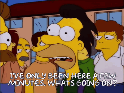 simpsons lenny